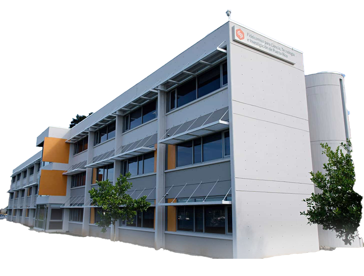trust-building